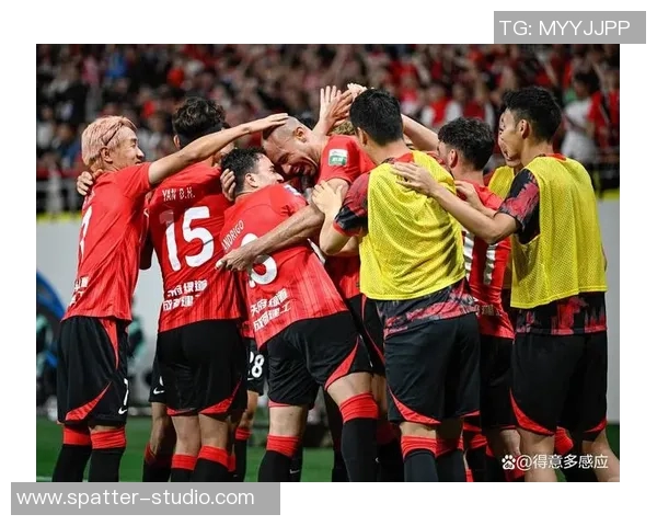 成都排球队实力引发热议球迷观点分歧成焦点